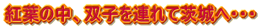 いい夢見てね!