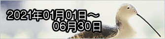 QOQPNOPOP` @@@@OURO